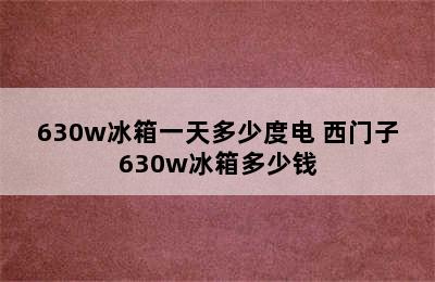 630w冰箱一天多少度电 西门子630w冰箱多少钱